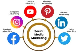blog smm best freelance digital marketer in alappuzha